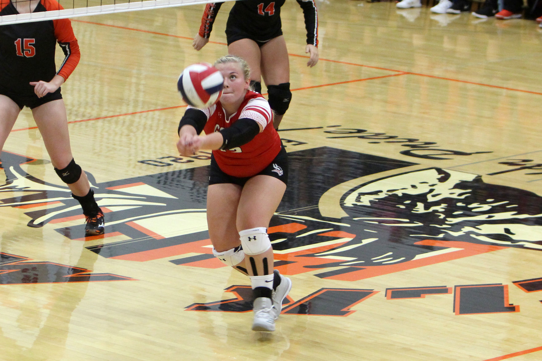 Colfax at Elk Mound volleyball 10-17-19